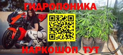 PSILOCYBIN Аргун