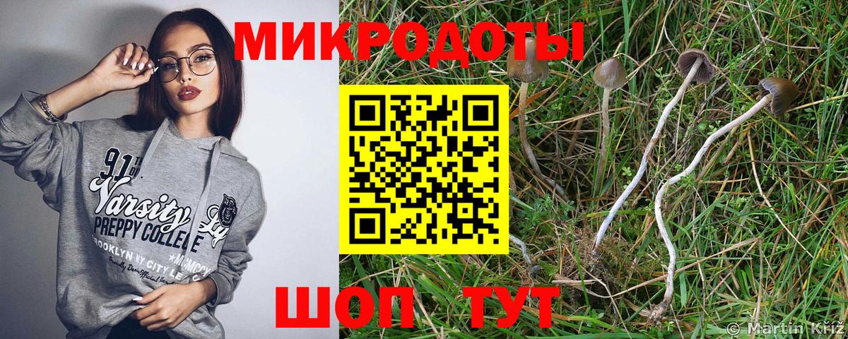 Ачхой-Мартан  Псилоцибиновые грибы ЛСД  Вход с VPN 
