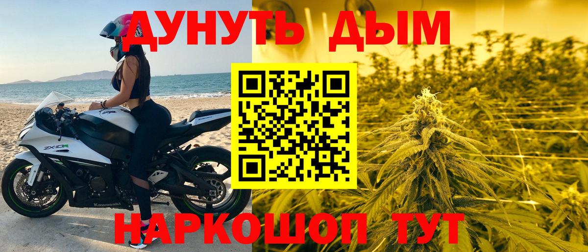 Конопля LSD WEED  МАРИХУАНА планчик  Каннабис планчик  Канабис MAZAR  Ачхой-Мартан 